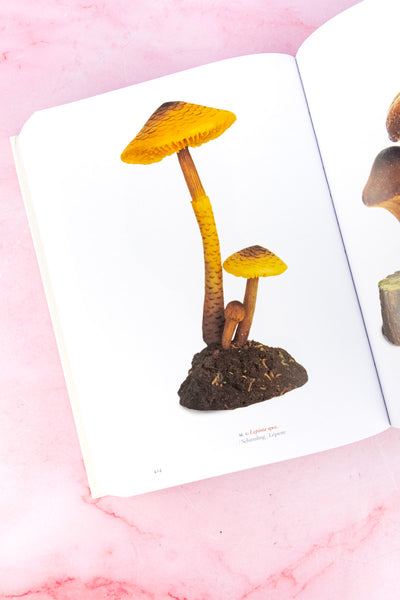 A Garden Eden Book