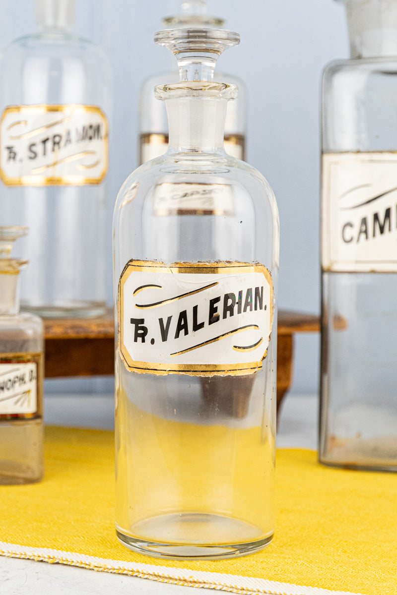 Antique Apothecary Bottle