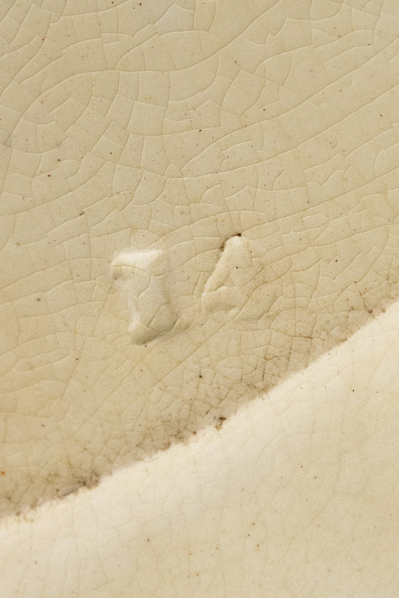 Antique English Transferware Platter