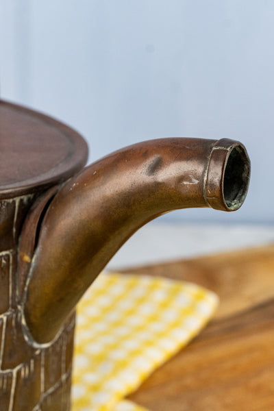 Antique English Crocodile Brass Watering Can