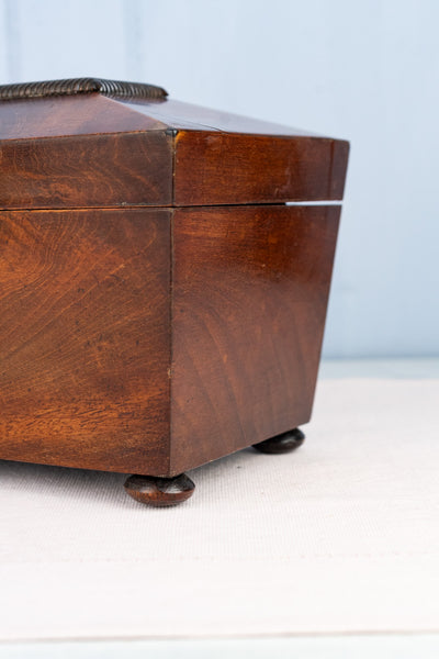 Antique English Mahogany Tea Chest