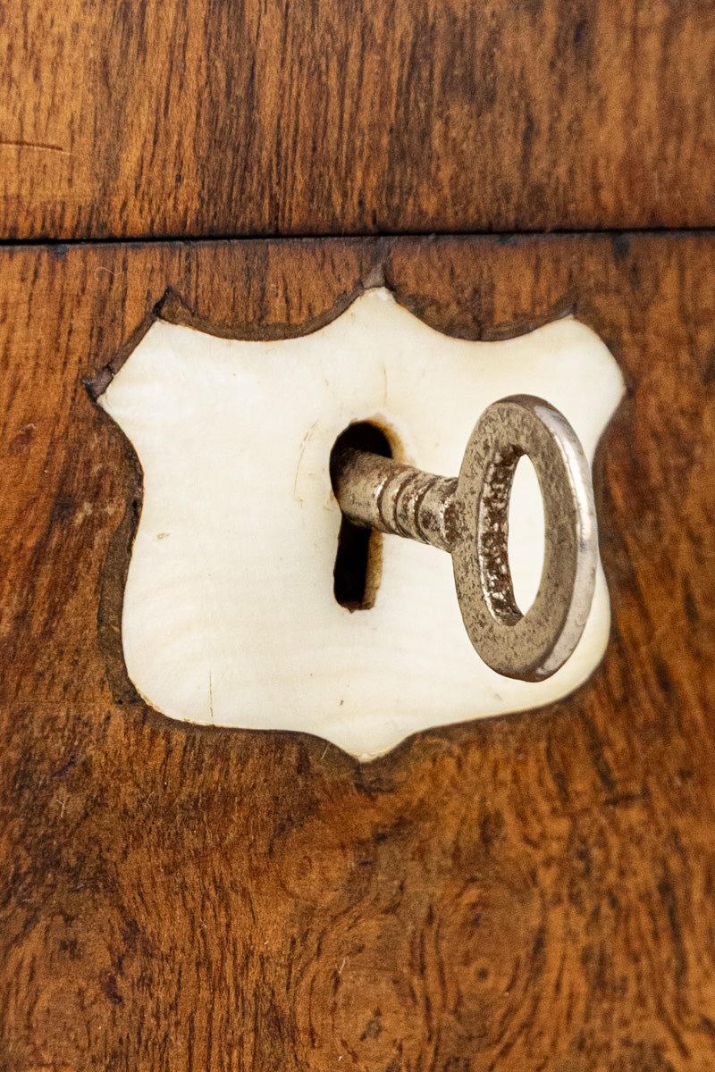 Antique English Glove / Jewelry Box, image 13 of 15