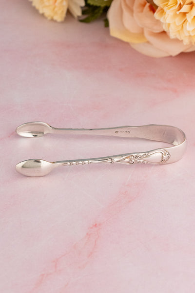 Antique English Silverplate Teaspoon Set - Service for 6