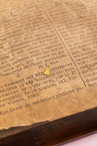 Antique French Framed Miniature Portraits