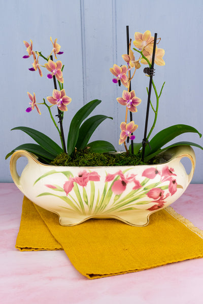 Antique French Iris Jardinière