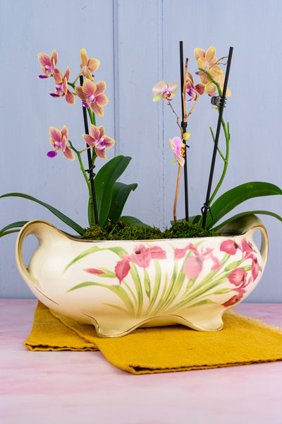 Antique French Iris Jardinière