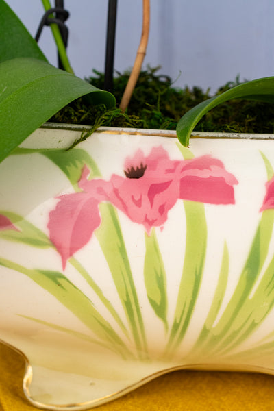 Antique French Iris Jardinière