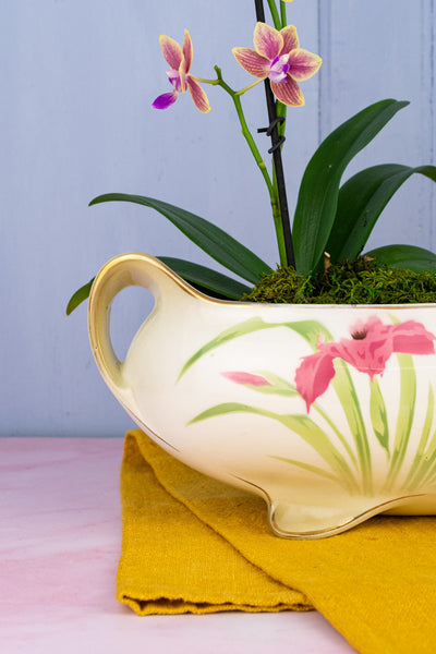 Antique French Iris Jardinière