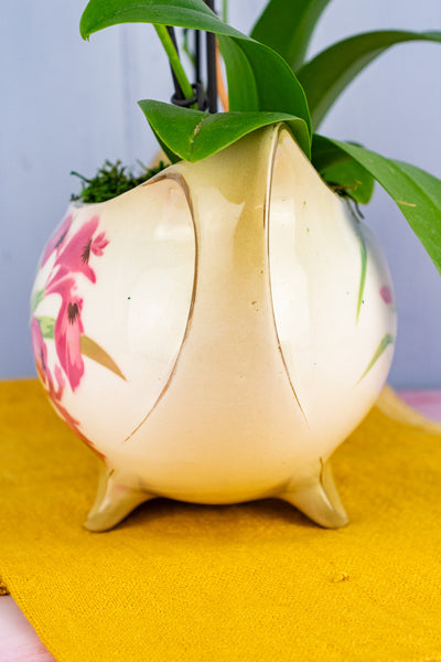 Antique French Iris Jardinière