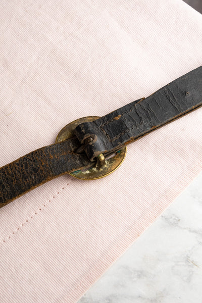 Antique Horse Brass Collection on Leather Harness