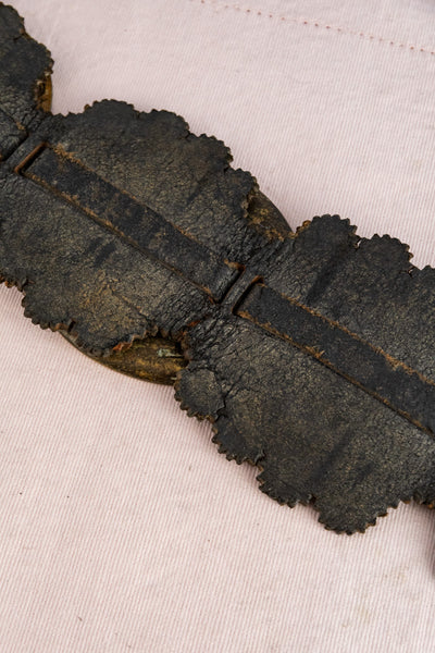Antique Horse Brass Collection on Leather Harness