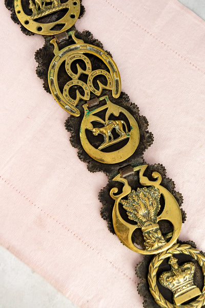 Antique Horse Brass Collection on Leather Harness