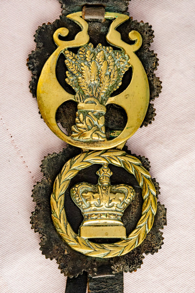 Antique Horse Brass Collection on Leather Harness