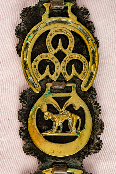 Antique Horse Brass Collection on Leather Harness