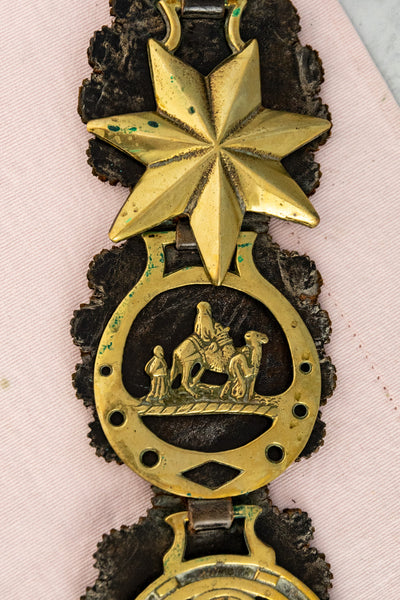 Antique Horse Brass Collection on Leather Harness