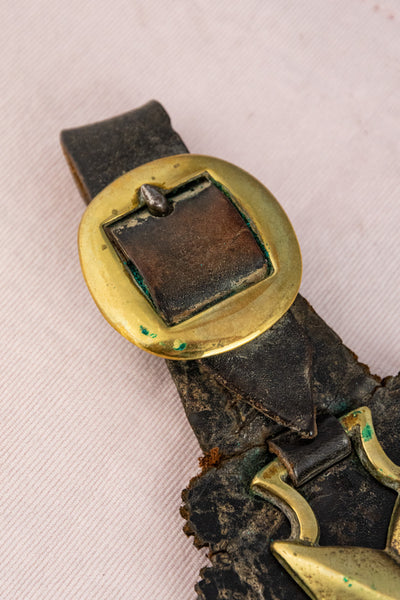 Antique Horse Brass Collection on Leather Harness