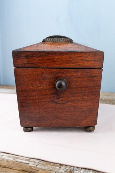 Antique William IV English Rosewood Tea Caddy