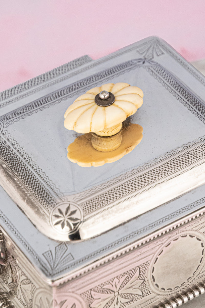 Antique Silverplate and Glass Sardine Box, image 10 of 14