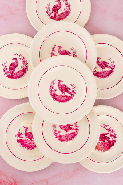 Antique Spode China - Service for 8