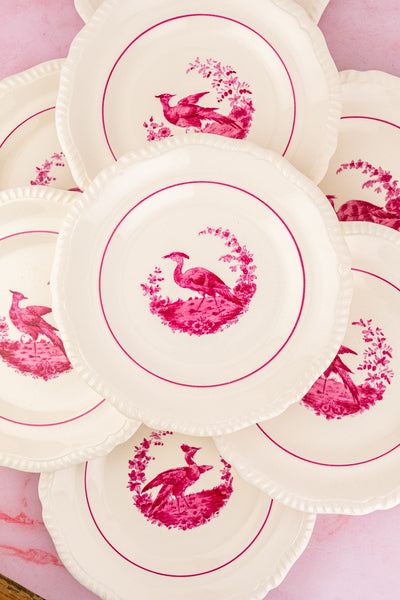 Antique Spode China - Service for 8