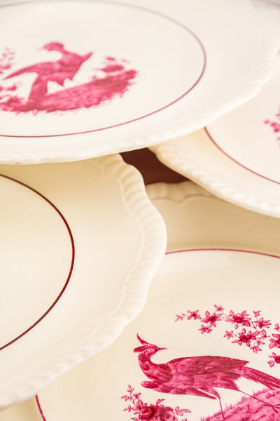 Antique Spode China - Service for 8