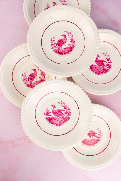 Antique Spode China - Service for 8