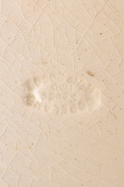 Antique Spode China - Service for 8