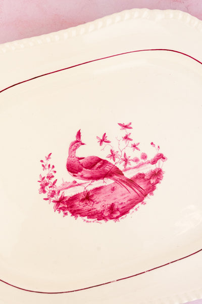 Antique Spode China - Service for 8