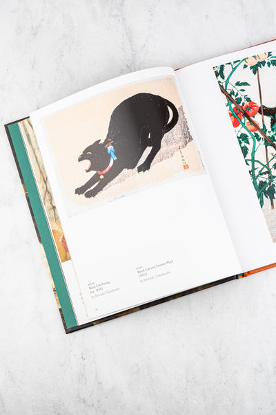 Art Cat Book