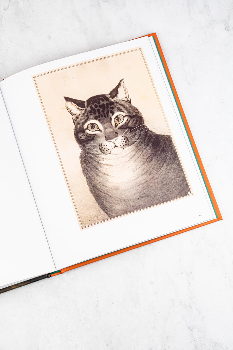 Art Cat Book, image 6 of 11