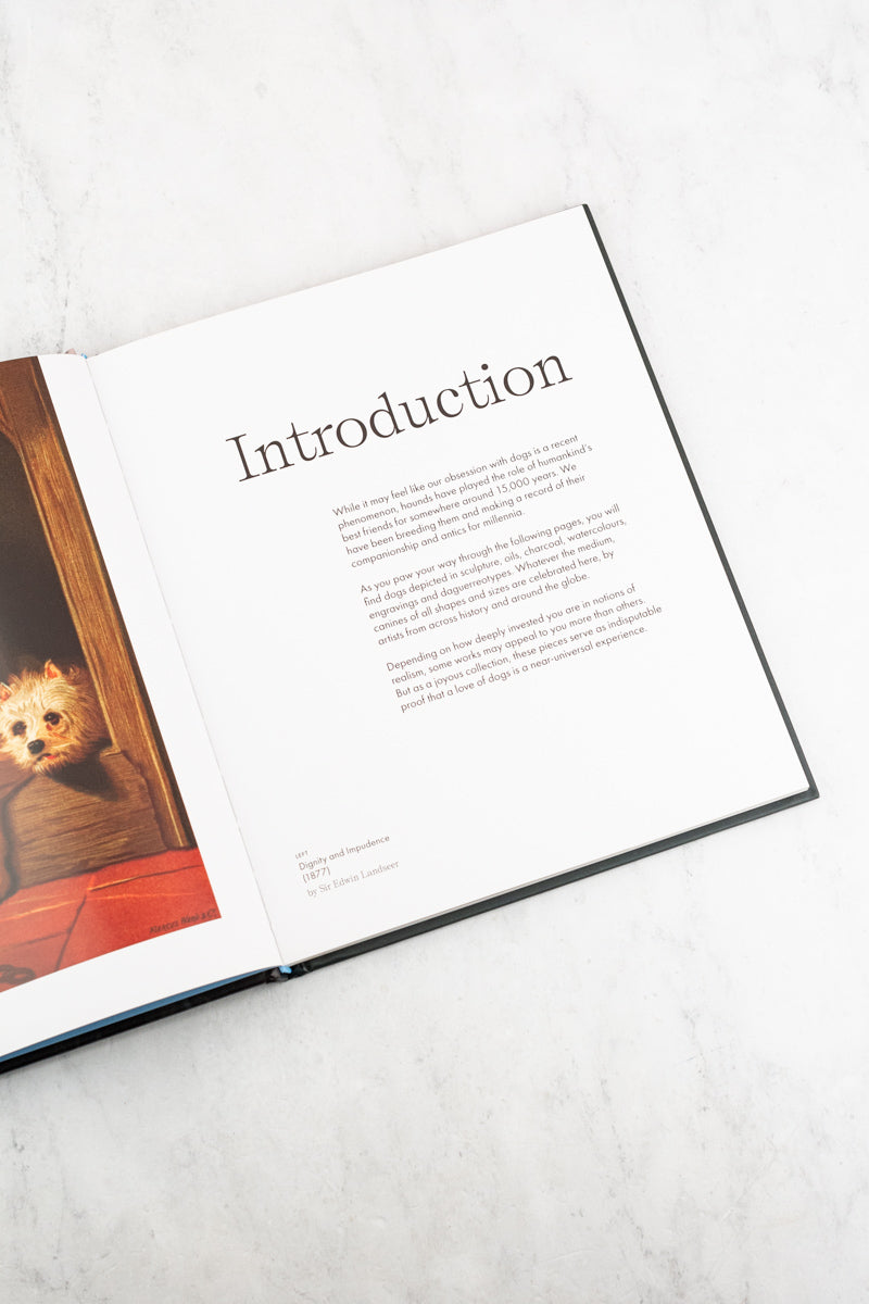 Art Dog Book