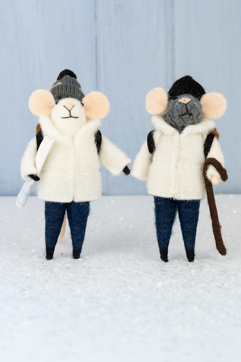 Backpacking Bailey & Trail Guide Tobias Mouse