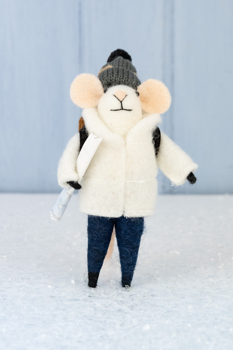Backpacking Bailey & Trail Guide Tobias Mouse