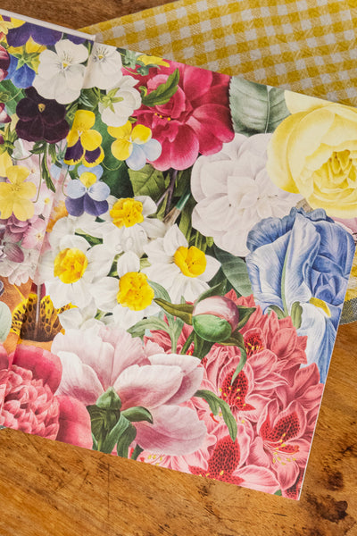 Biblioflora: A Celebration of Floral Beauty in Botanical Art Book