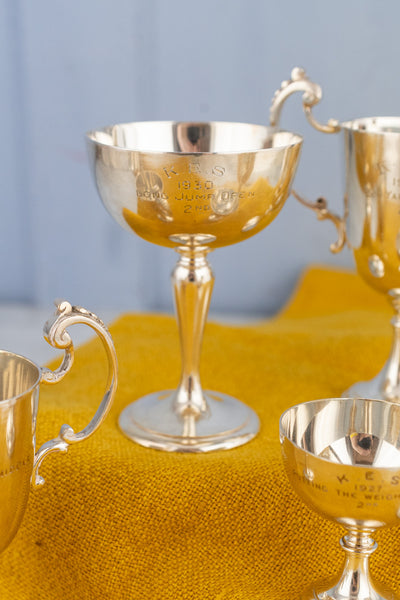 English Miniature Silverplate Sporting Trophy Collection