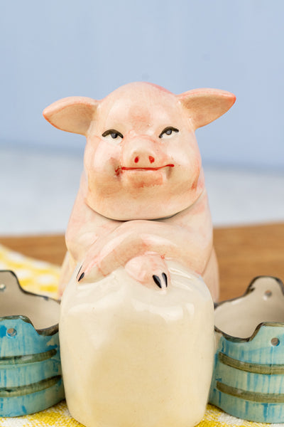 Grinning Piggy Ceramic Cruet