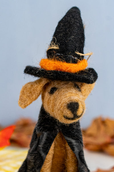 Halloween Dog