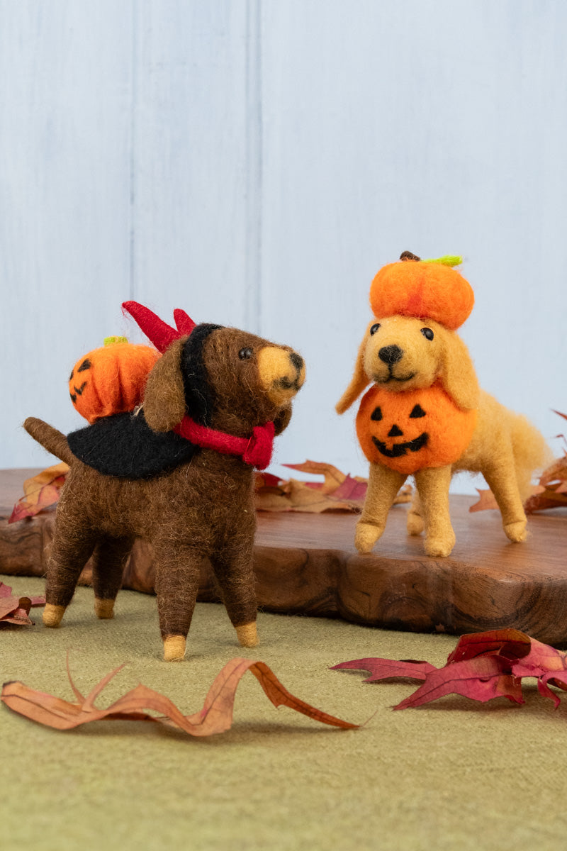 Halloween Hounds