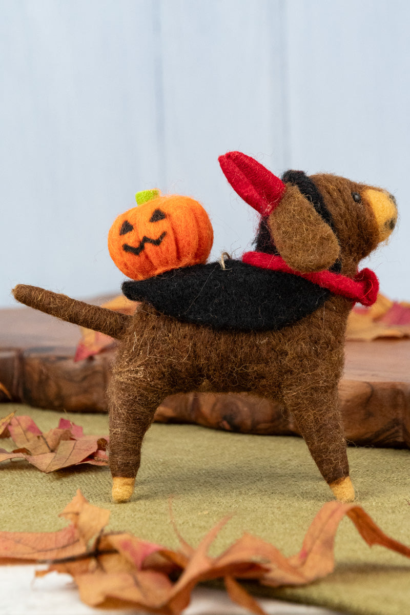 Halloween Hounds