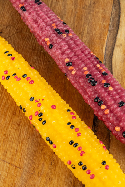 Harvest Corn Taper Candle Pair