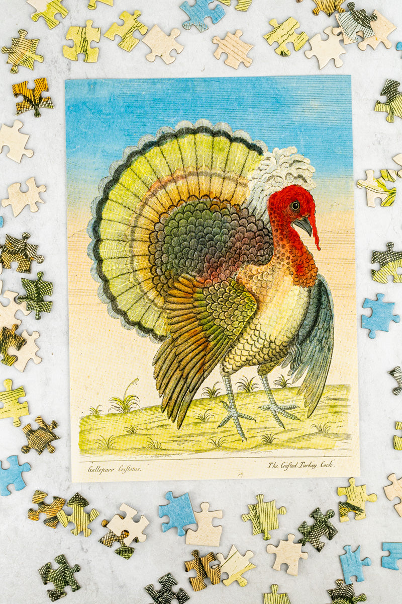 John Derian Crested Turkey 1,000 Piece Puzzle, image 3 of 5