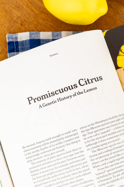 Lemon: A Collection of Stories and Recipes Book