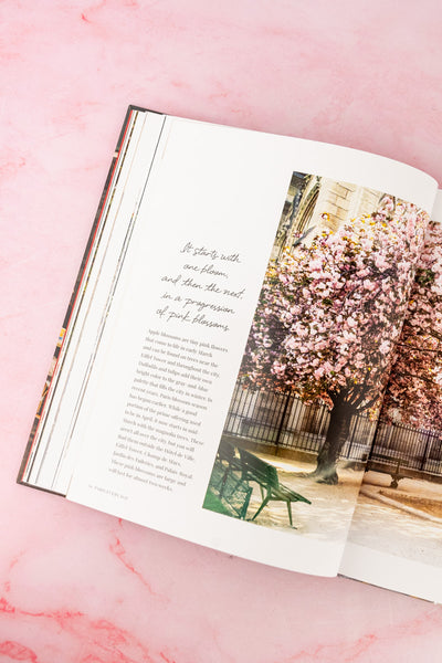 Paris Every Day Book