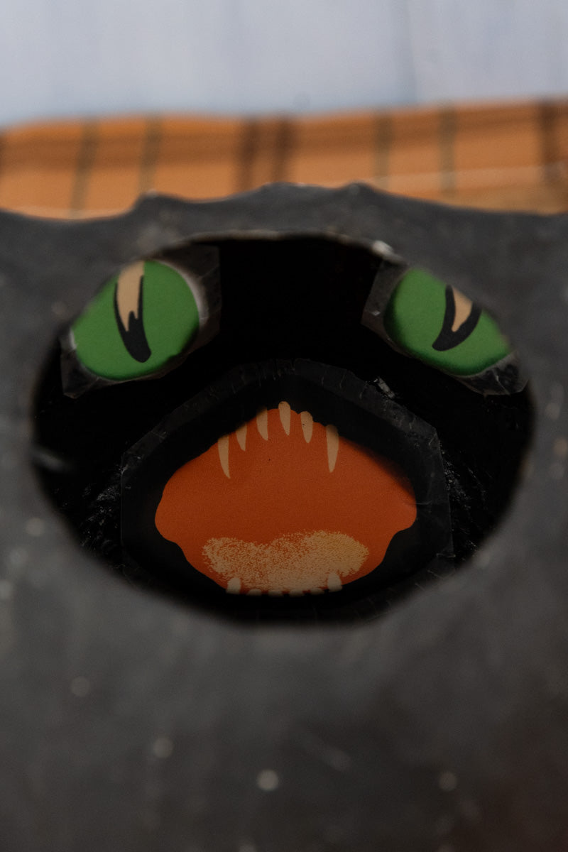 Sassy Cat Halloween Bucket