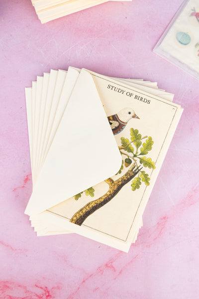 Stationery Set