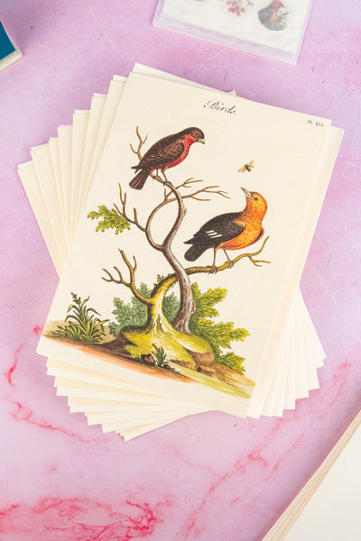 Stationery Set