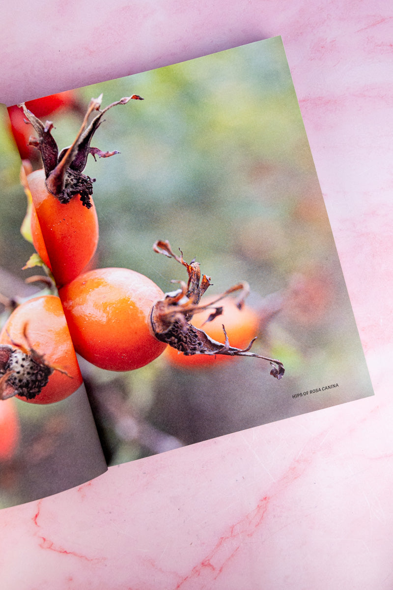 The Joy of Roses Book, image 4 of 7