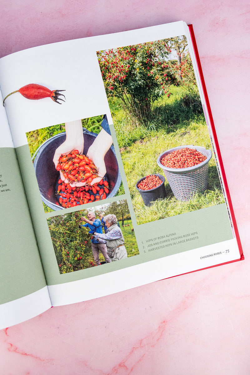 The Joy of Roses Book, image 7 of 7