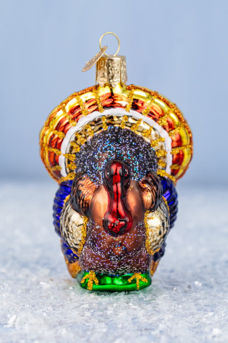 Tom Turkey Glass Ornament, image 1 of 4