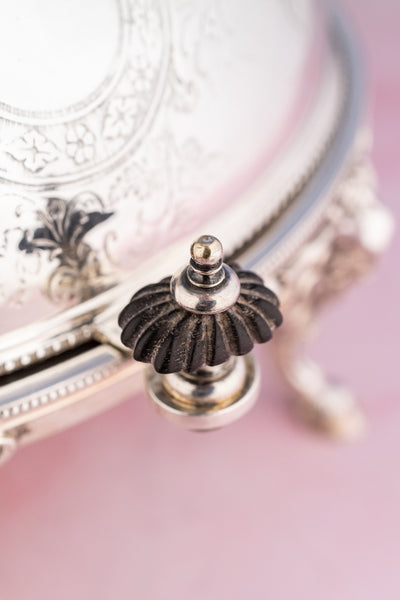 Victorian Silverplate Roll Top Server